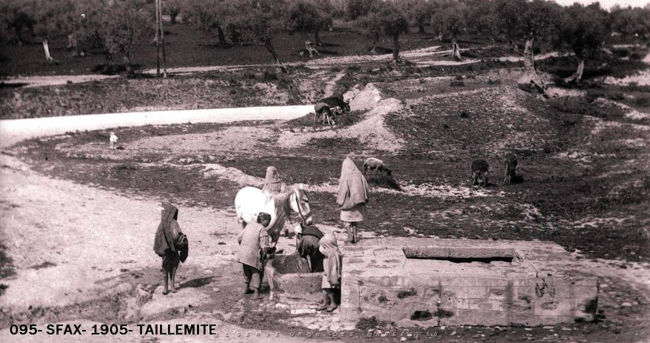 095- Sfax-1905- Taillemite.jpg